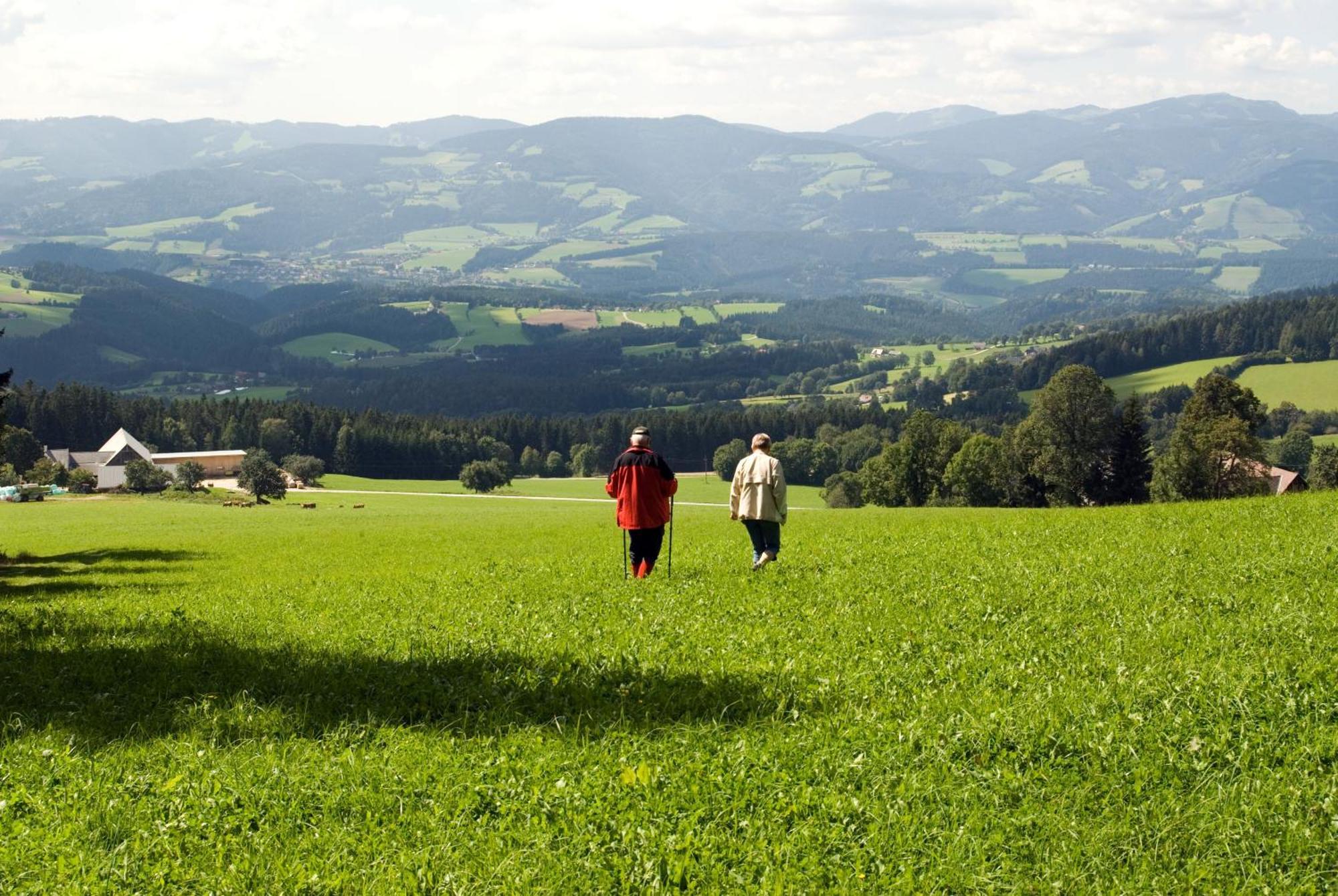 Wildwiesenhof Miesenbach  Exterior foto